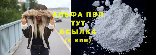 шишки Белоозёрский