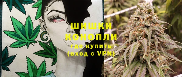 шишки Белоозёрский