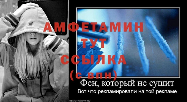 шишки Белоозёрский